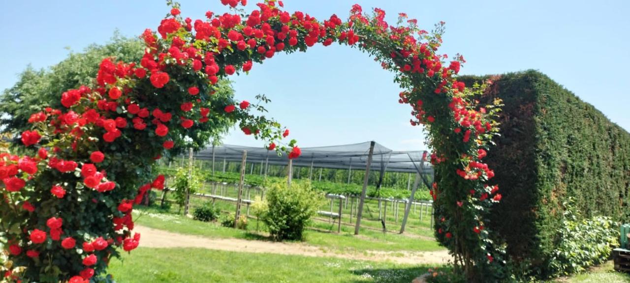 Agriturismo Fondo Novelle La Casina Ferrara Zewnętrze zdjęcie
