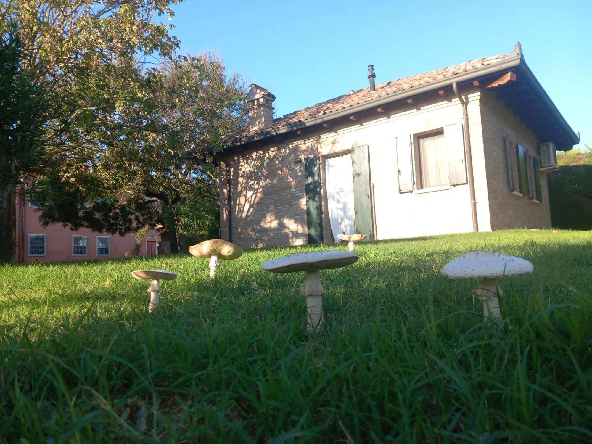 Agriturismo Fondo Novelle La Casina Ferrara Zewnętrze zdjęcie